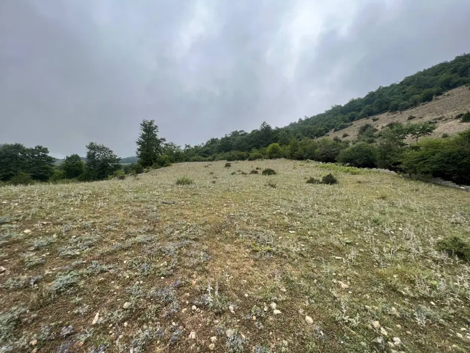 ( سه هزار متر ) زمین در کلاردشت