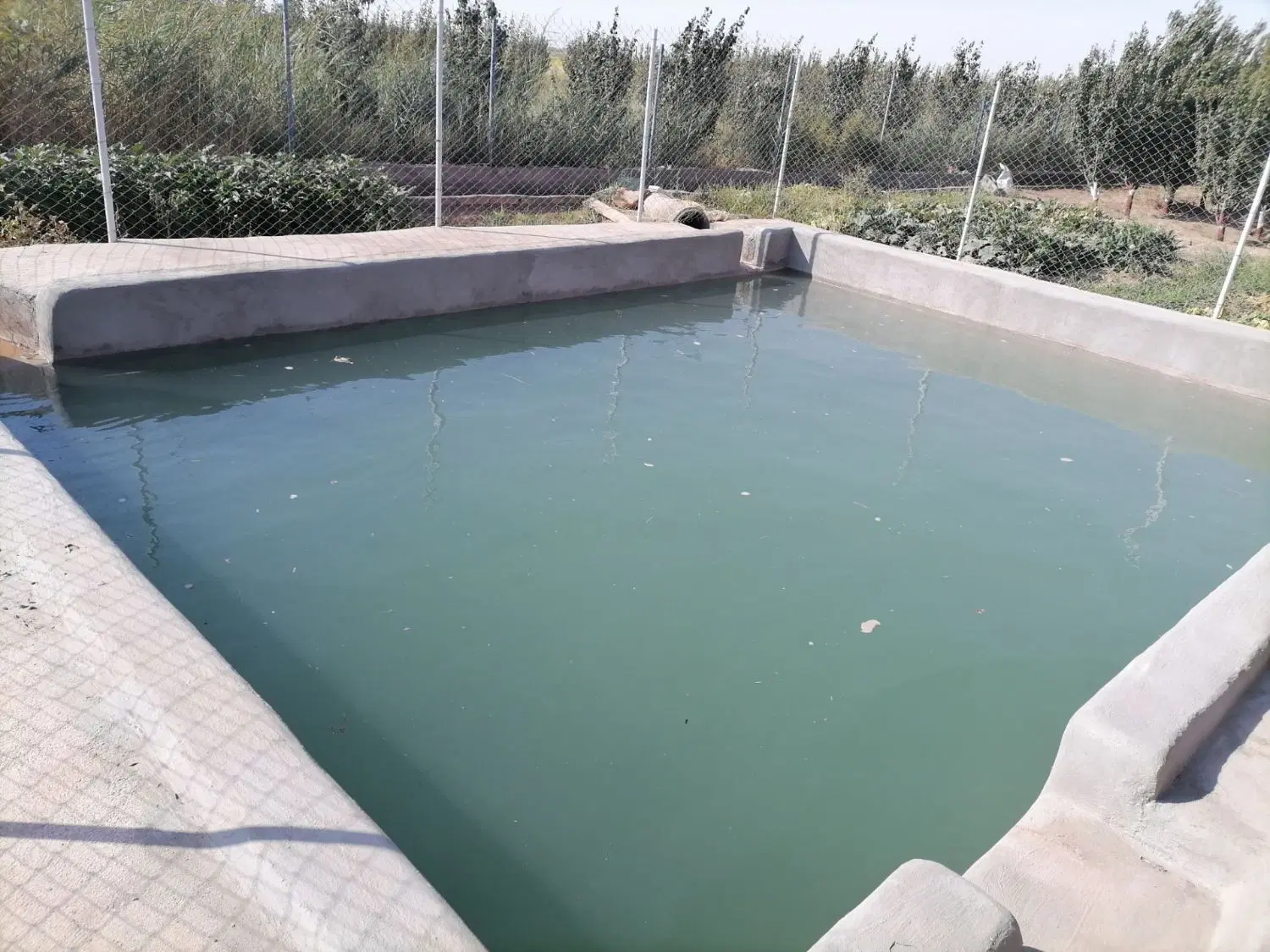 فروش باغ ناروهه بنکوه