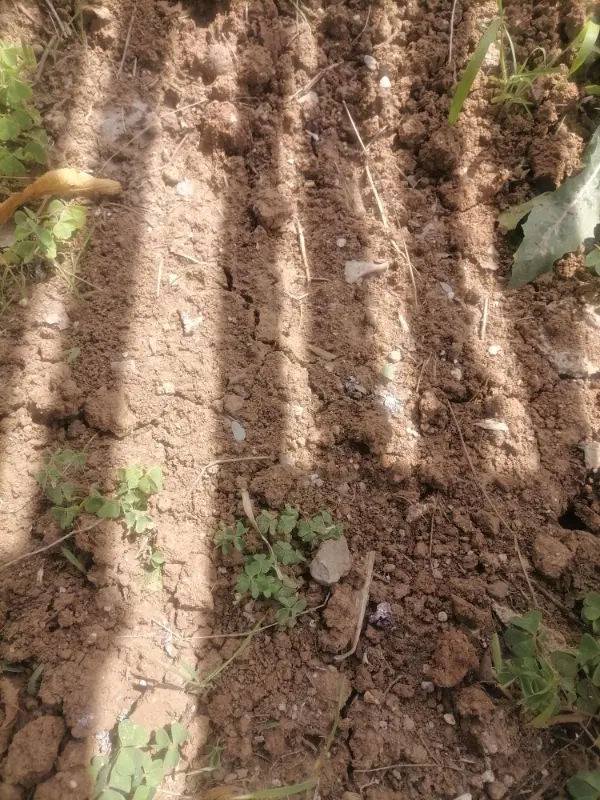 زمین ۲۰۸ متری چسبیده به گرگان  شرایطی