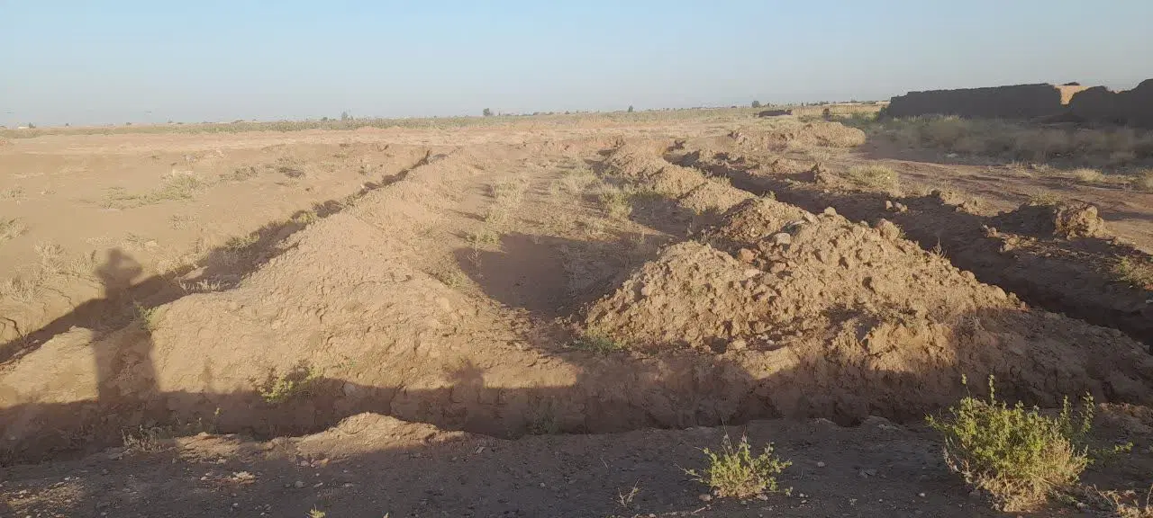 ۱۱ قصب زمین