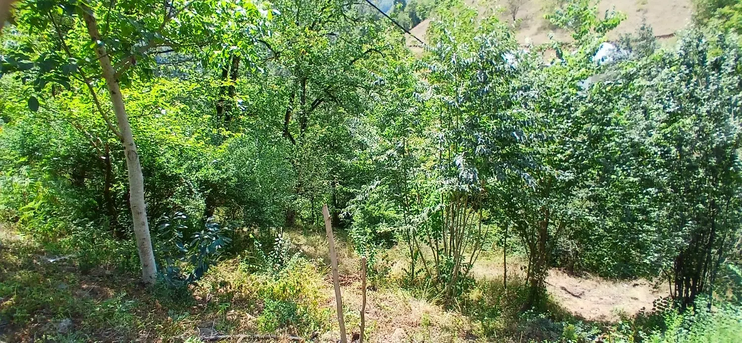 زمین ییلاق نوده