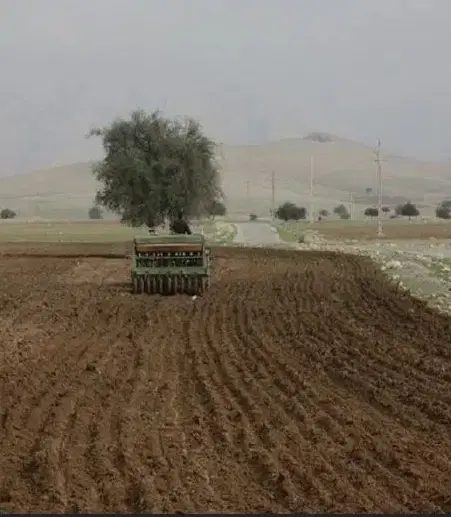 زمین کشاورزی