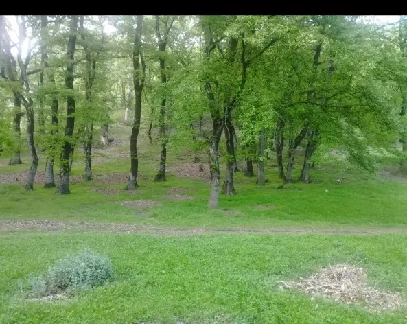 زمین دهکده گلها