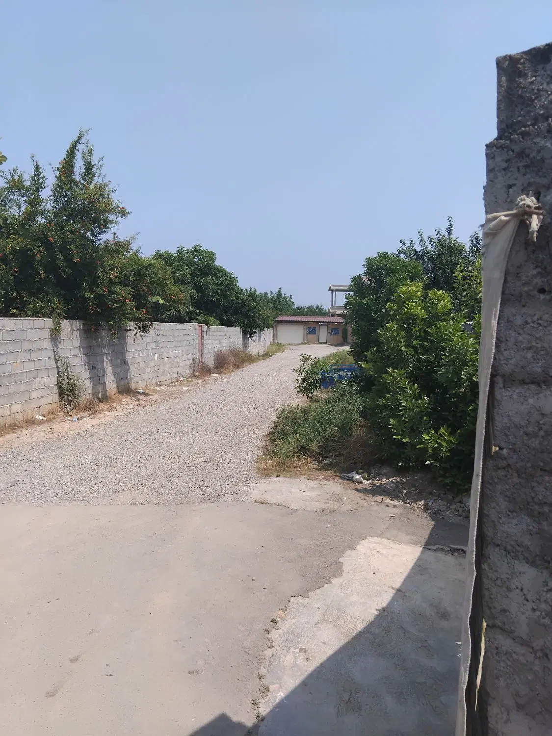زمین باغی ۲۵۷متری