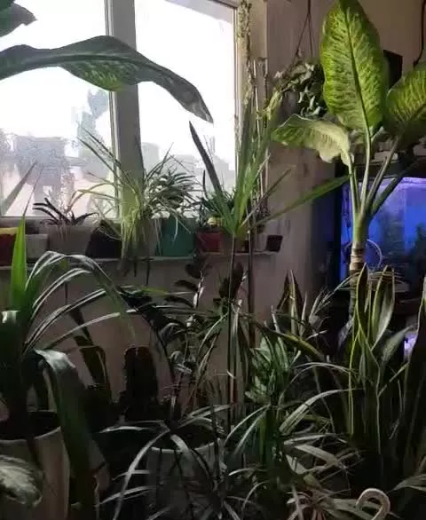 فروش خونه