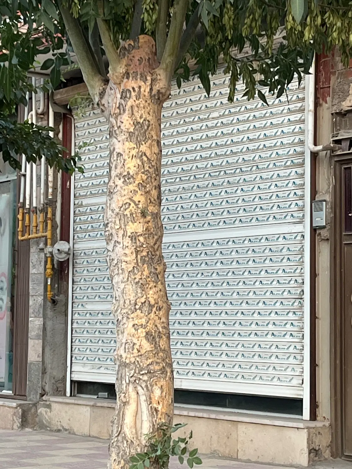 اجاره مغازه ۱۷ متری خیابان معلم