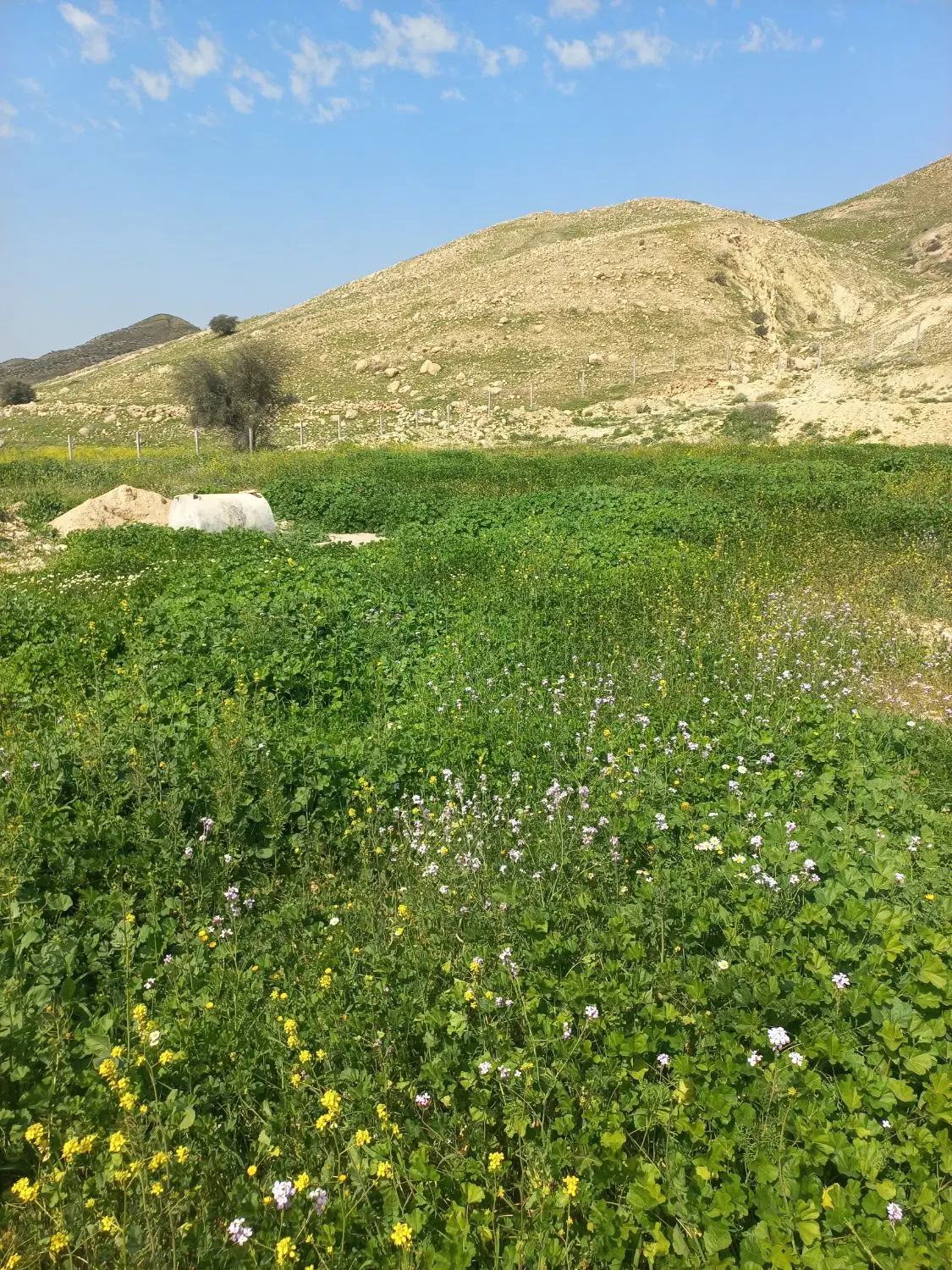 زمین روستایی