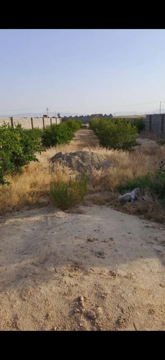 باغ چهار دیواری قدیمی
