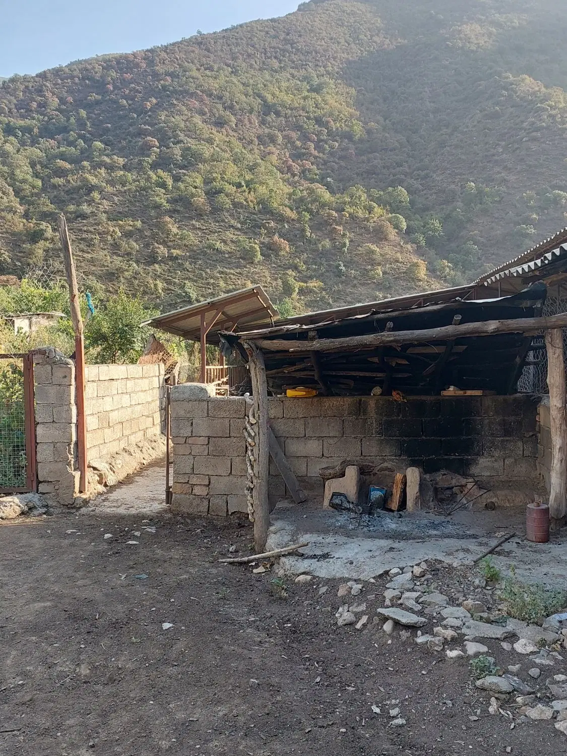 دامداری و زمین باغی