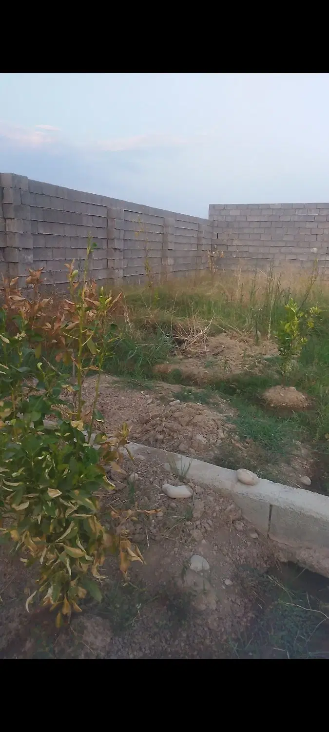 زمین باغ چهار دیواری داره چمگلک
