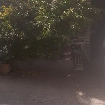 ۶۰۰ متر زمین کشاورزی