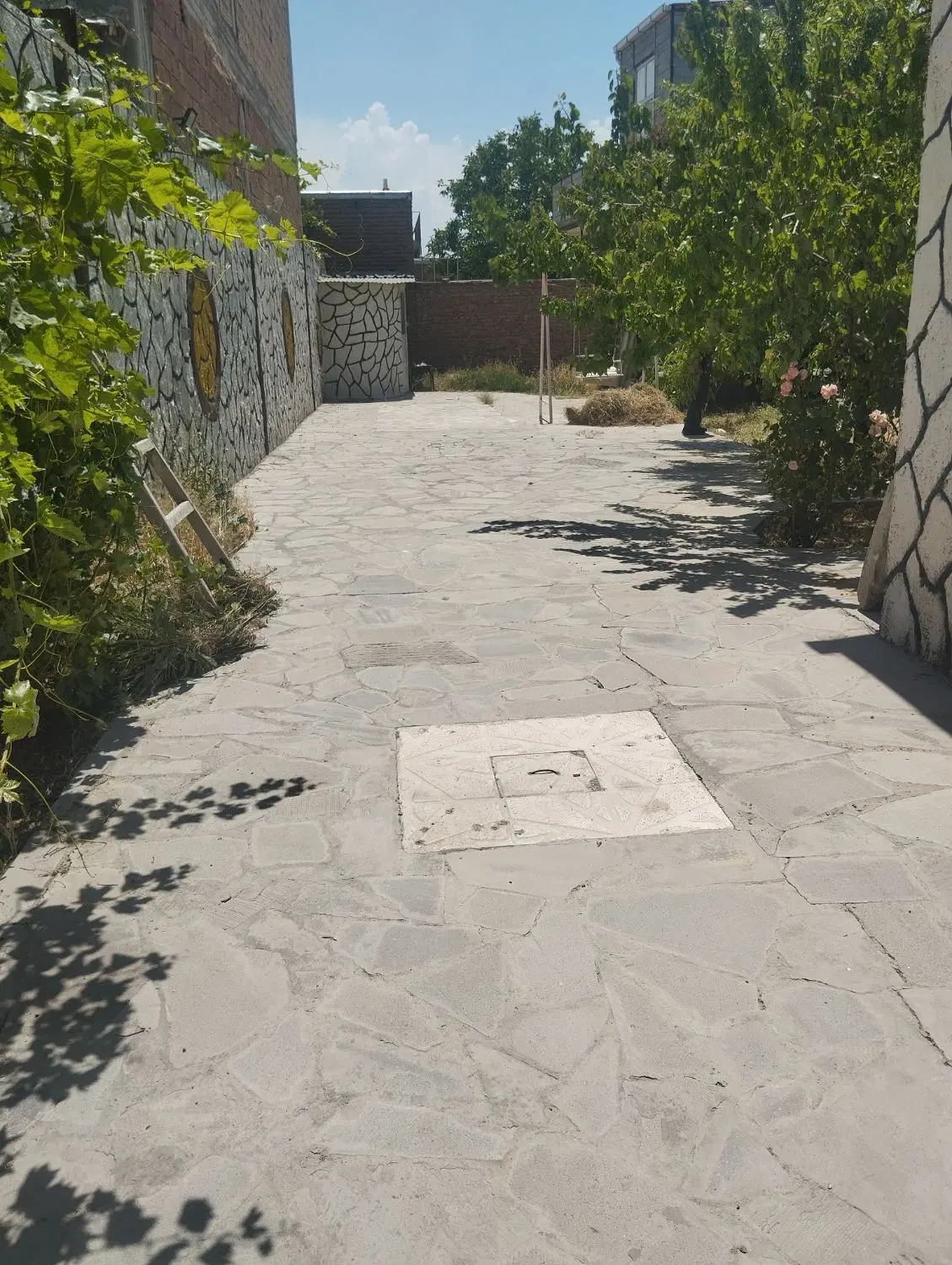 حیاط ویلایی در  ینگی کند ۵۰۰متر