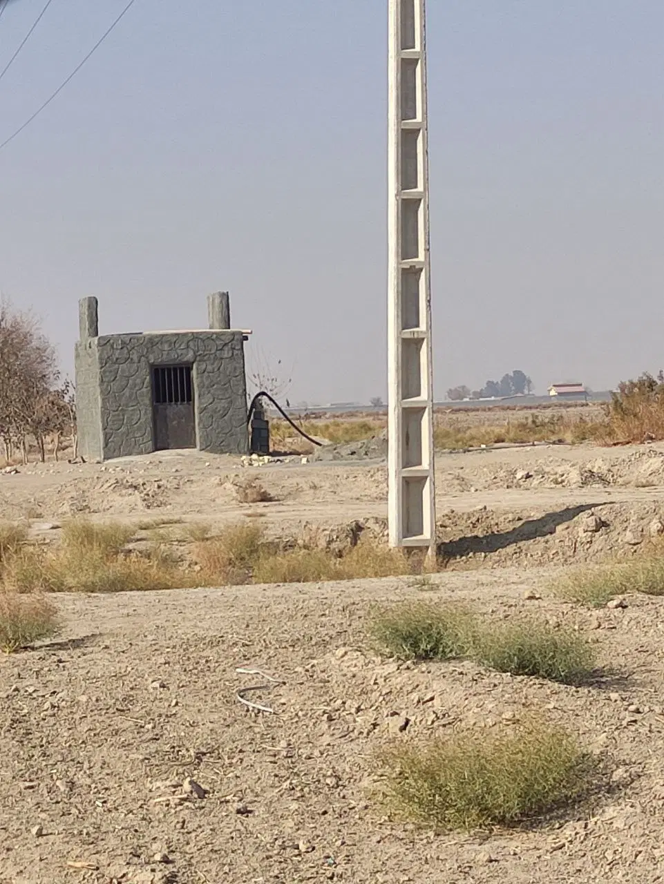 زمین کشاورزی برسیان