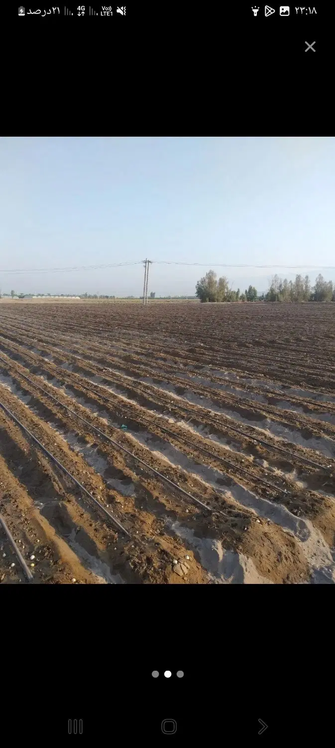 اجاره  زمین کشاورزی قطری
