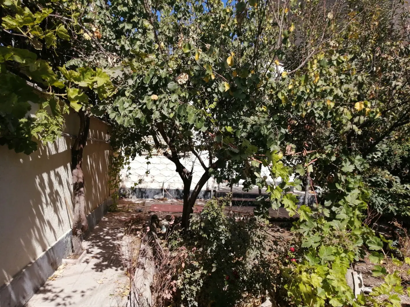 ویلایی 230متری گلستان مهرشهر