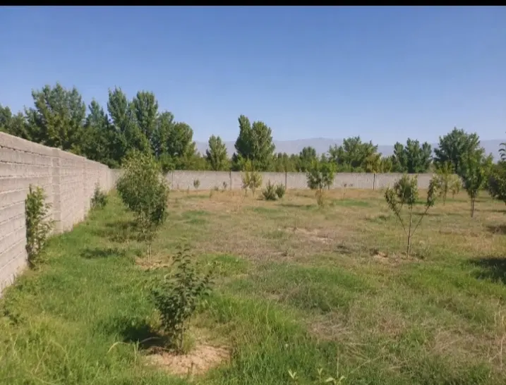 معاوضه زمین با خودرو