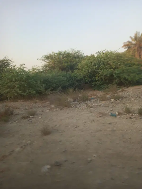 فروش یک قطعه زمین مسکونی