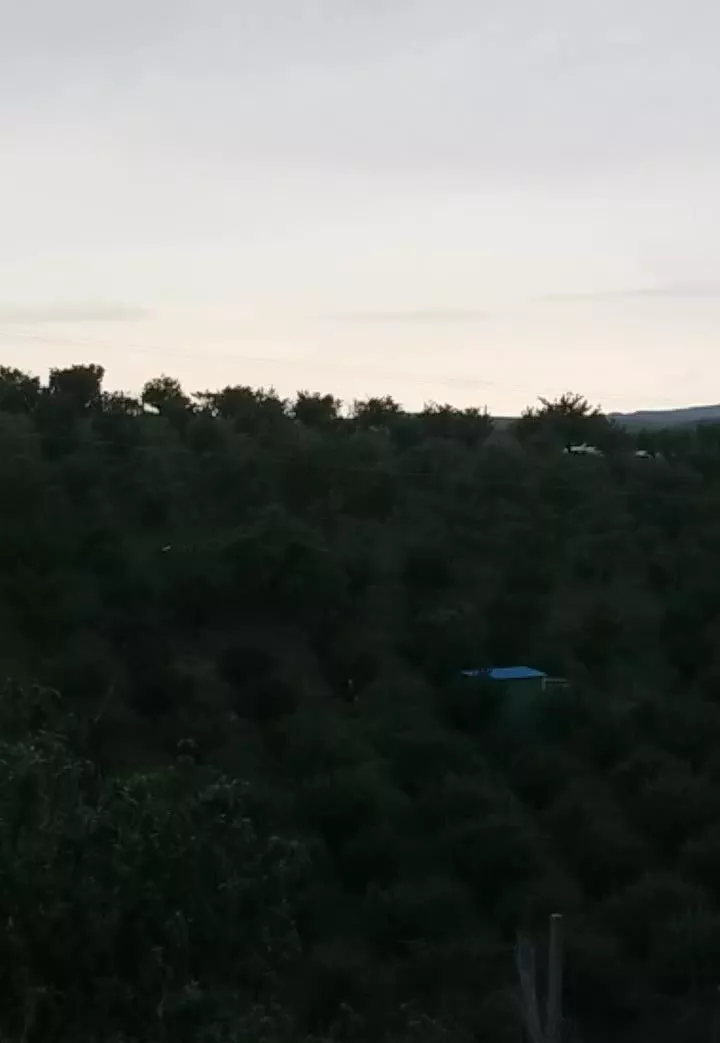 قطعه ویلایی در اهر