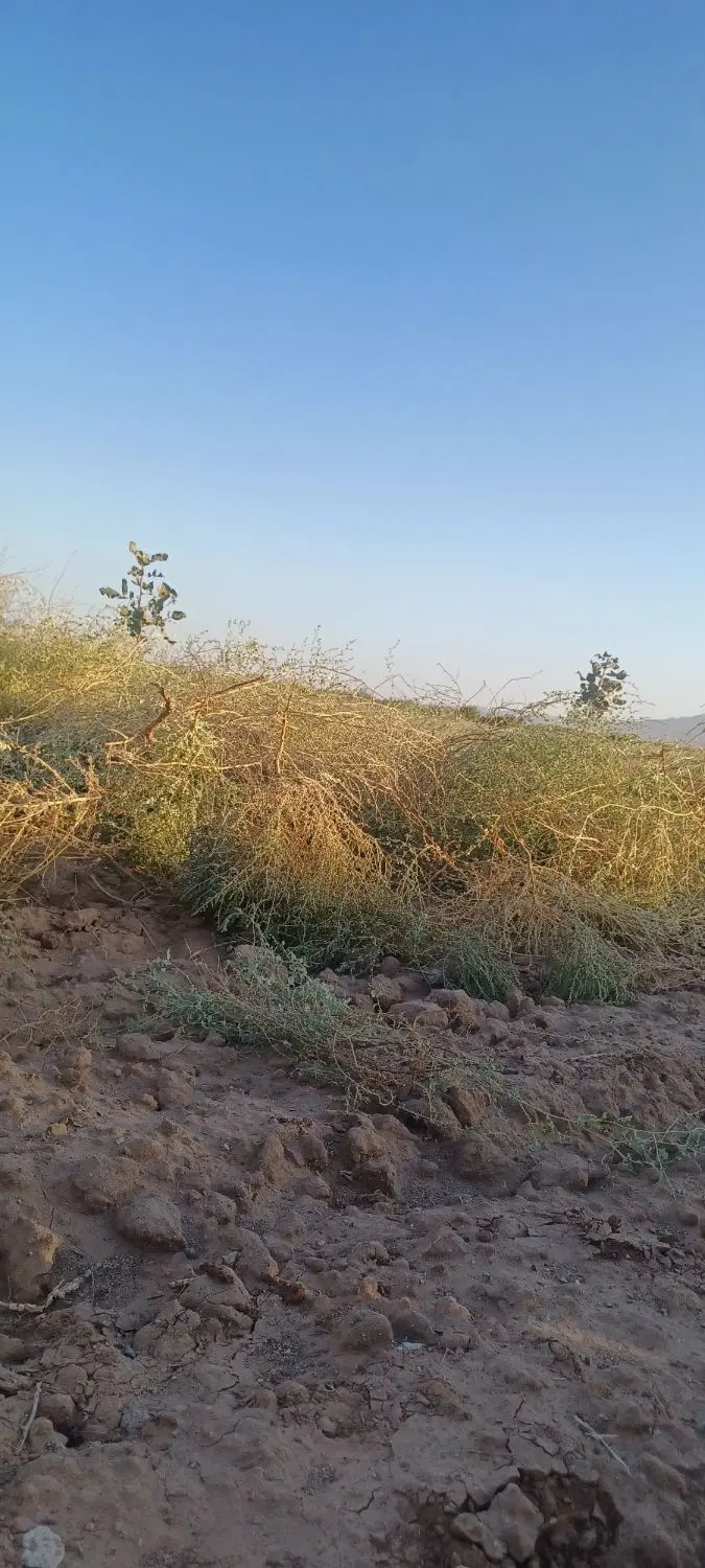فروش زمین