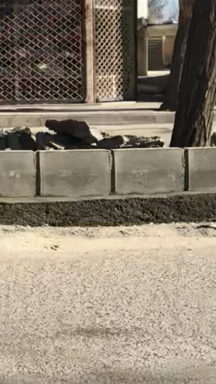 زمین تجاری بحر خیابان
