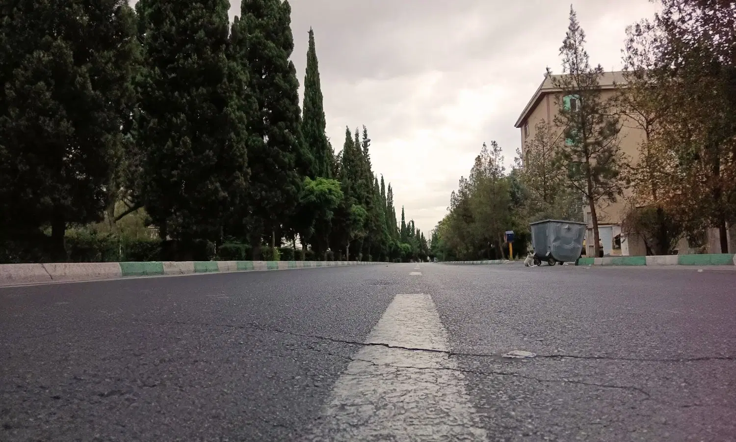 مشارکت در ساخت