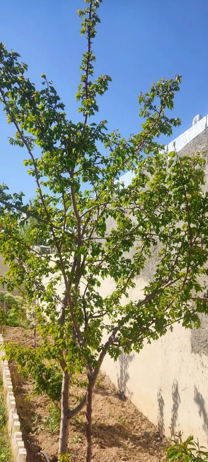 روستای اتابک