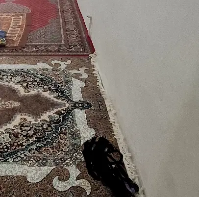 هم خونه شرکتی