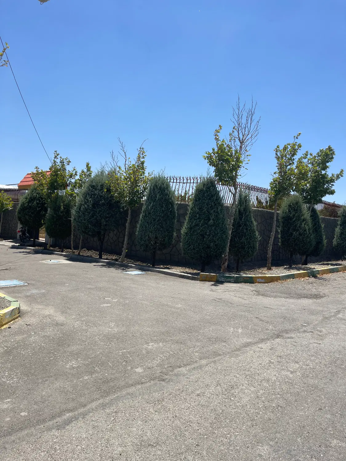 ۱۰۰۰متر دوردیوار کاهو