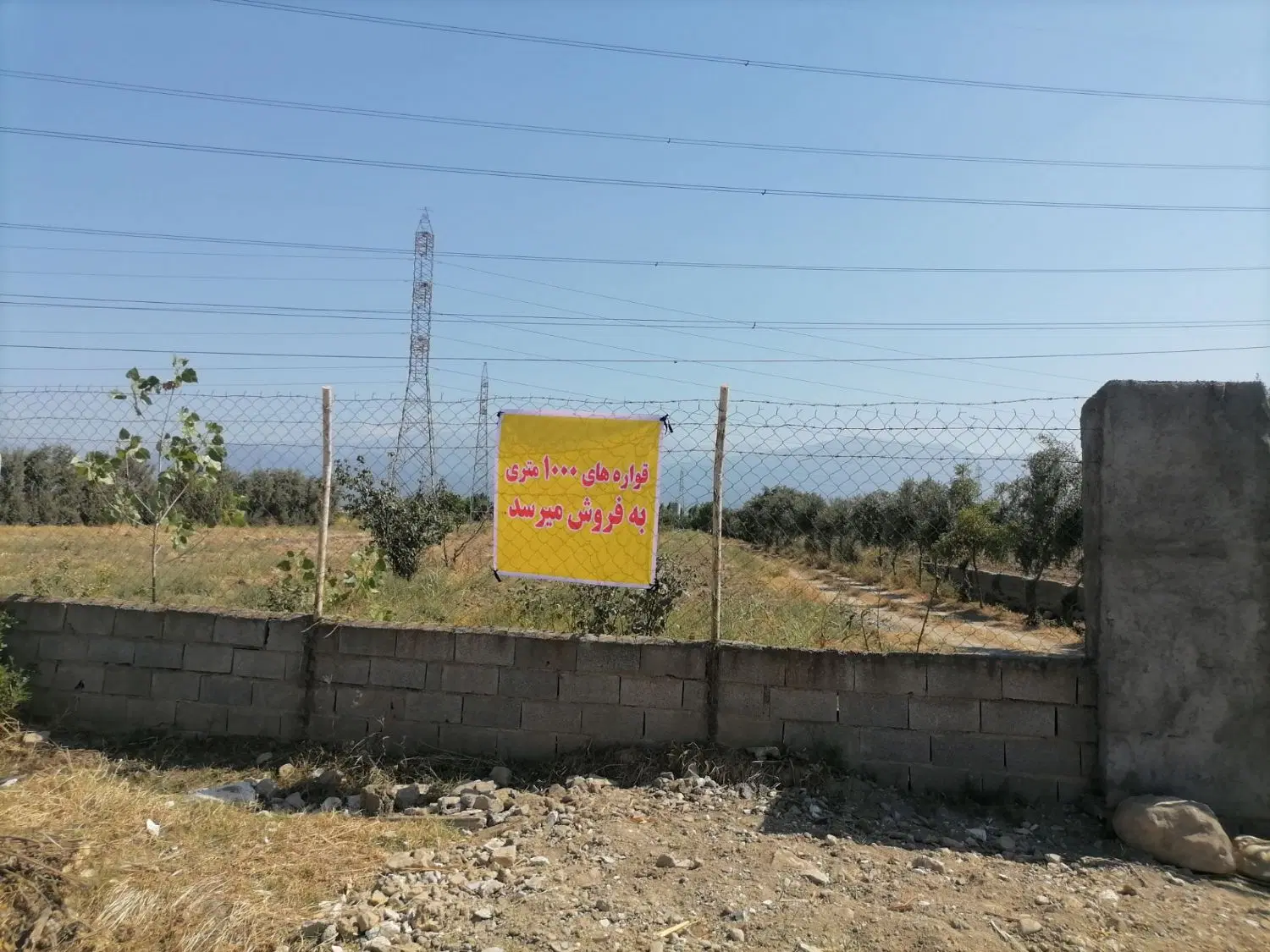 زمین باغی ۱۰۰۰ متر
