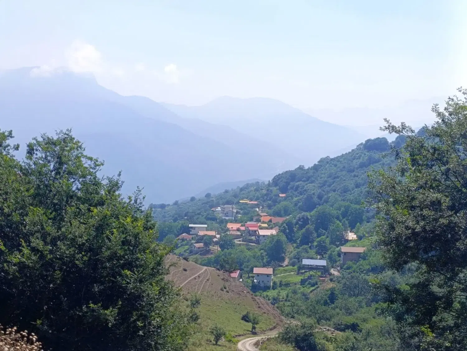 زمین مسکونی شورمست