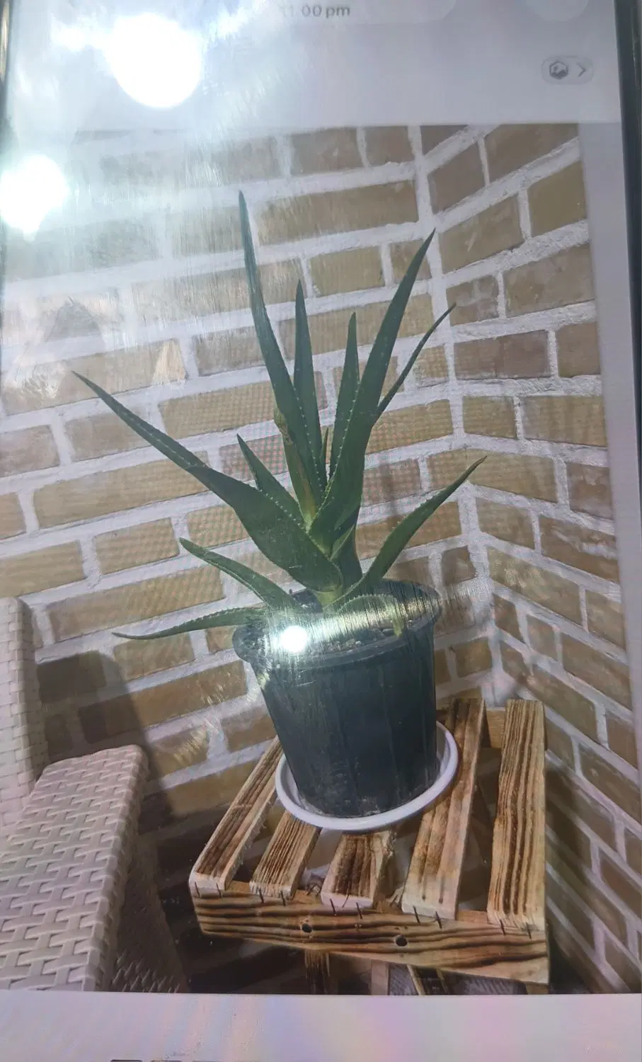 فروش باغ وخانه باغ ۲هزارمتر