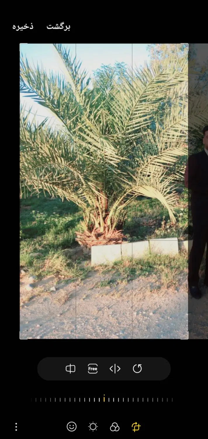 زمین ویلایی