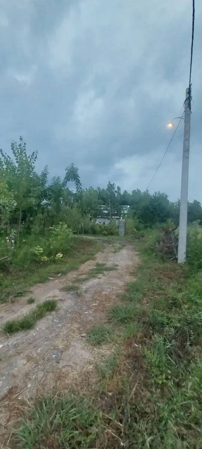 باغ داخل طرح هادی