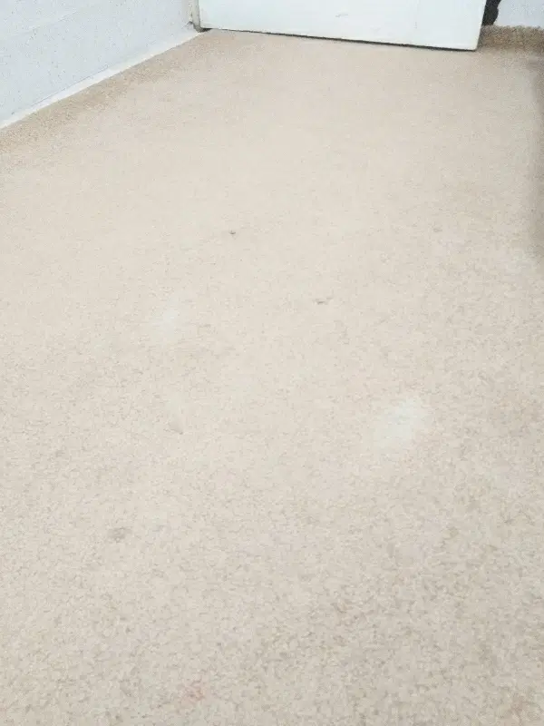 اجاره ی طبقه ی بالا مستقل