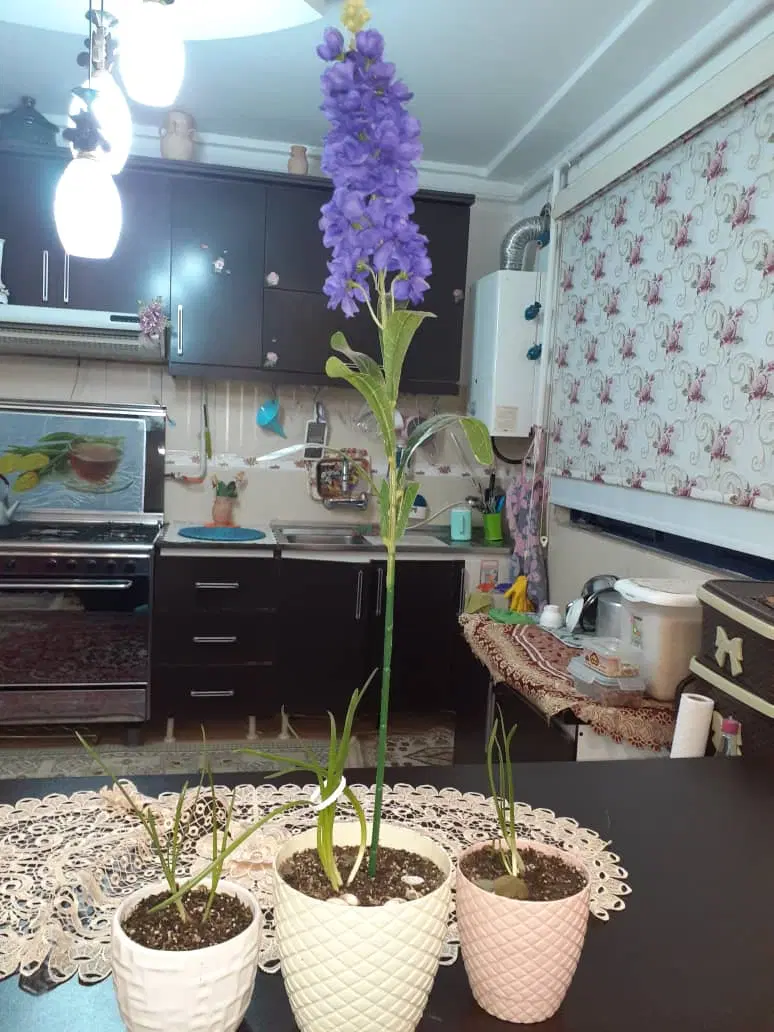 اجاره یک واحد 80متری