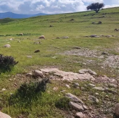 فروش زمین سوسنگرد بلوار معلم