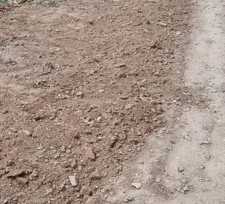 زمین مزروعی باغی جاده پهنایی
