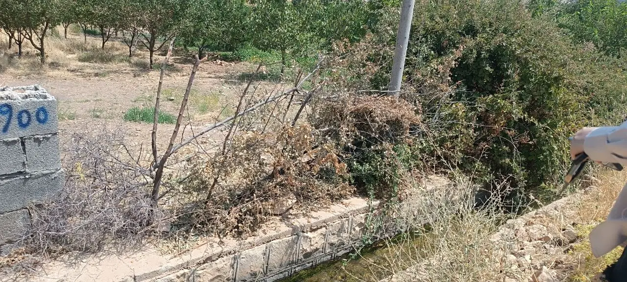 زمین کشاورزی آبی وباغ میوه