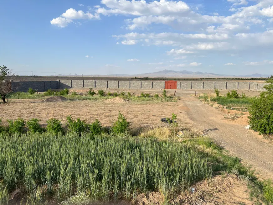 باغ پسته ثمری