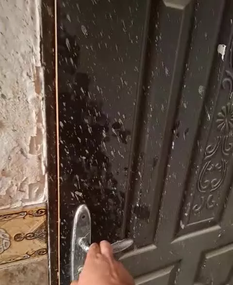 ۲۰۰ متر اصلی ایستگاه ۶ برای مطب و کلینک