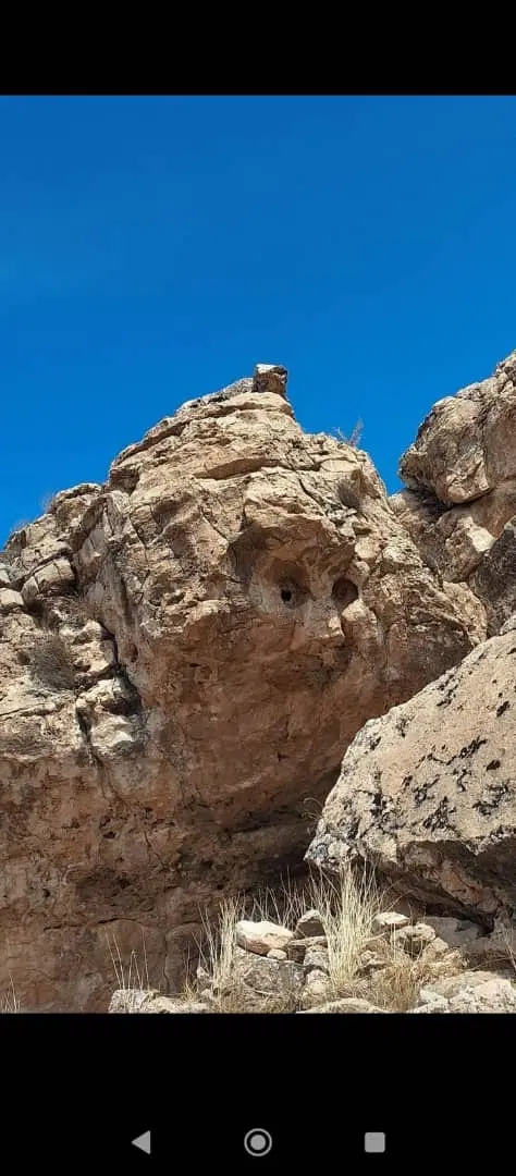 فروش زمین طرح مرغداری