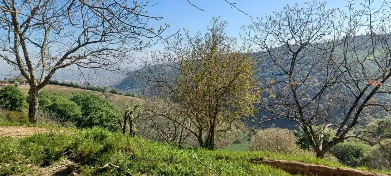 ۲۷۰۰ متر لوکیشن جذاب و آینده دار