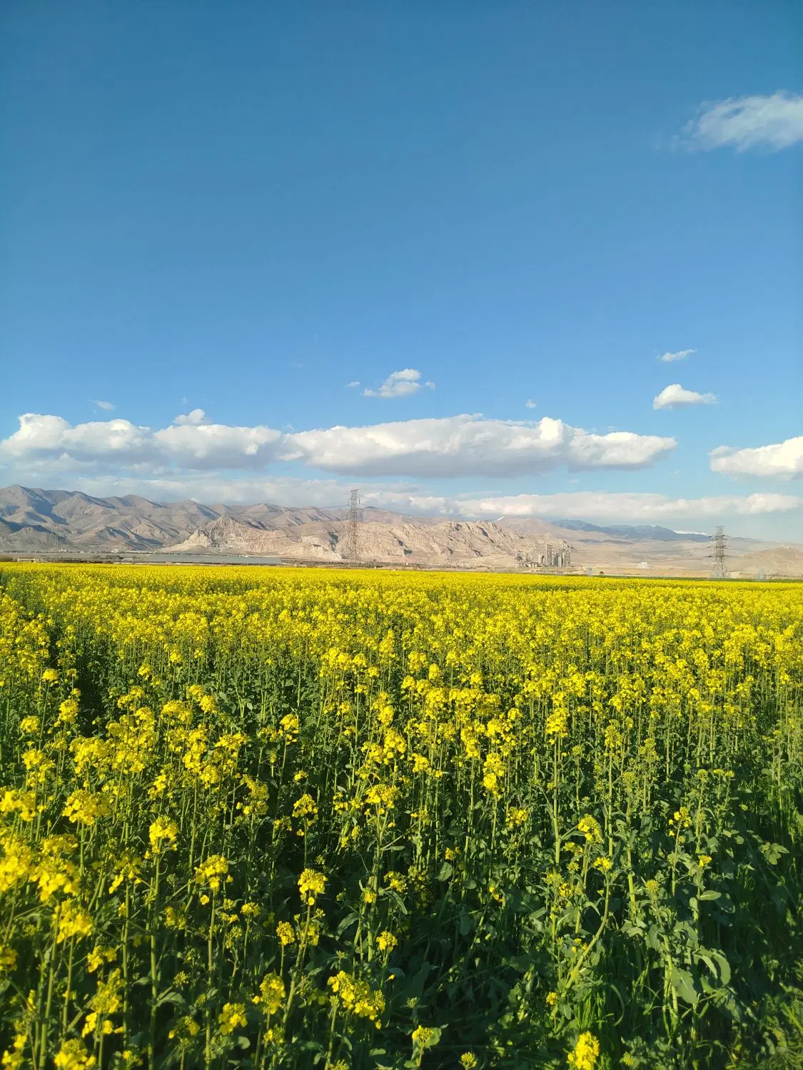 فروش زمین