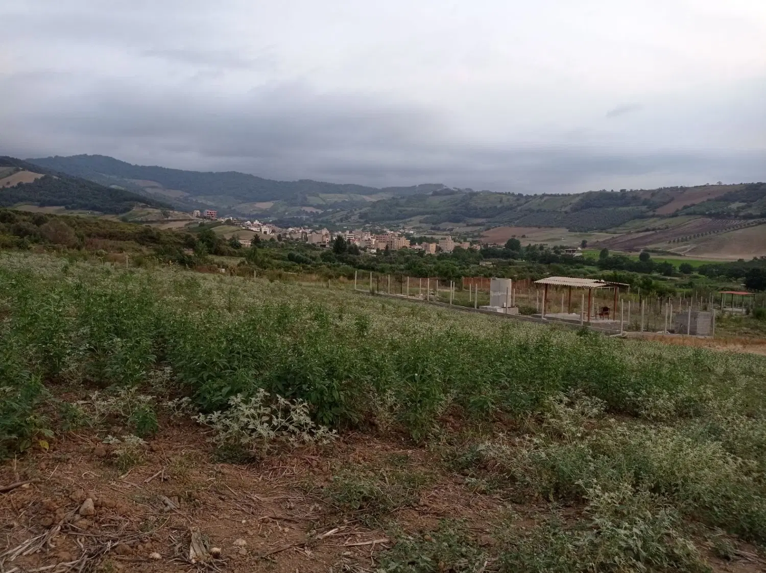 زمین۴۴۵متری پشت توان بخشی