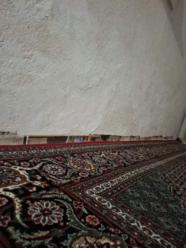 هم خونه