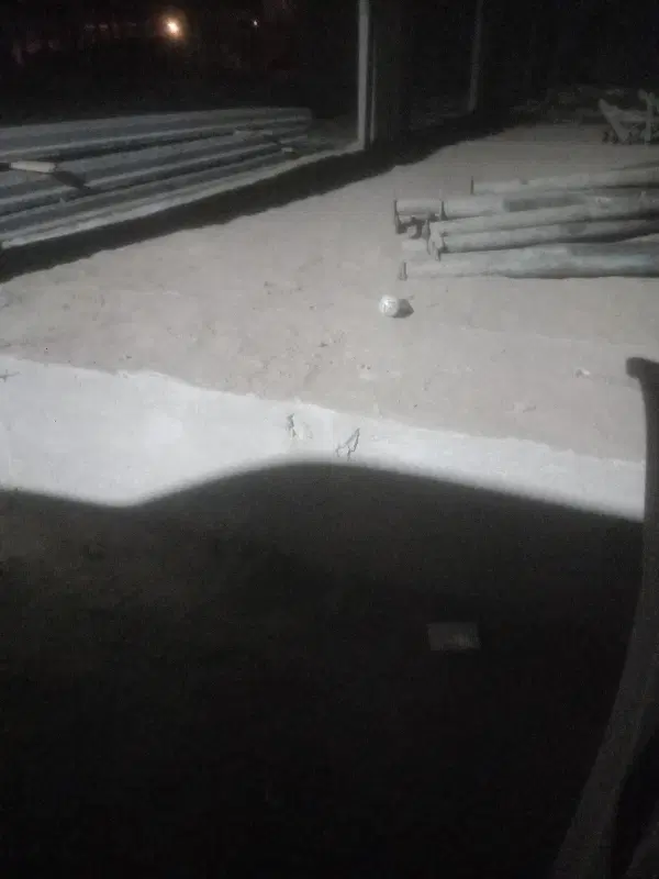 زمین،