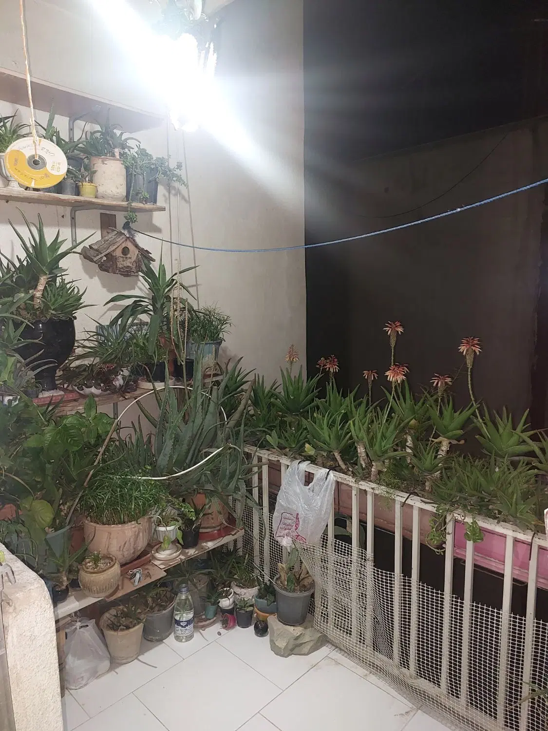 ۹۰ متر خیابان سپاه حقوقی دو خواب نورگیر