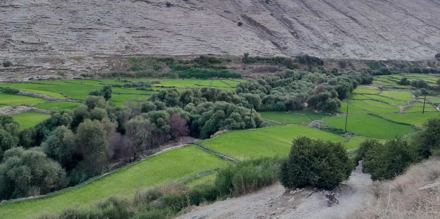 زمین کشاورزی