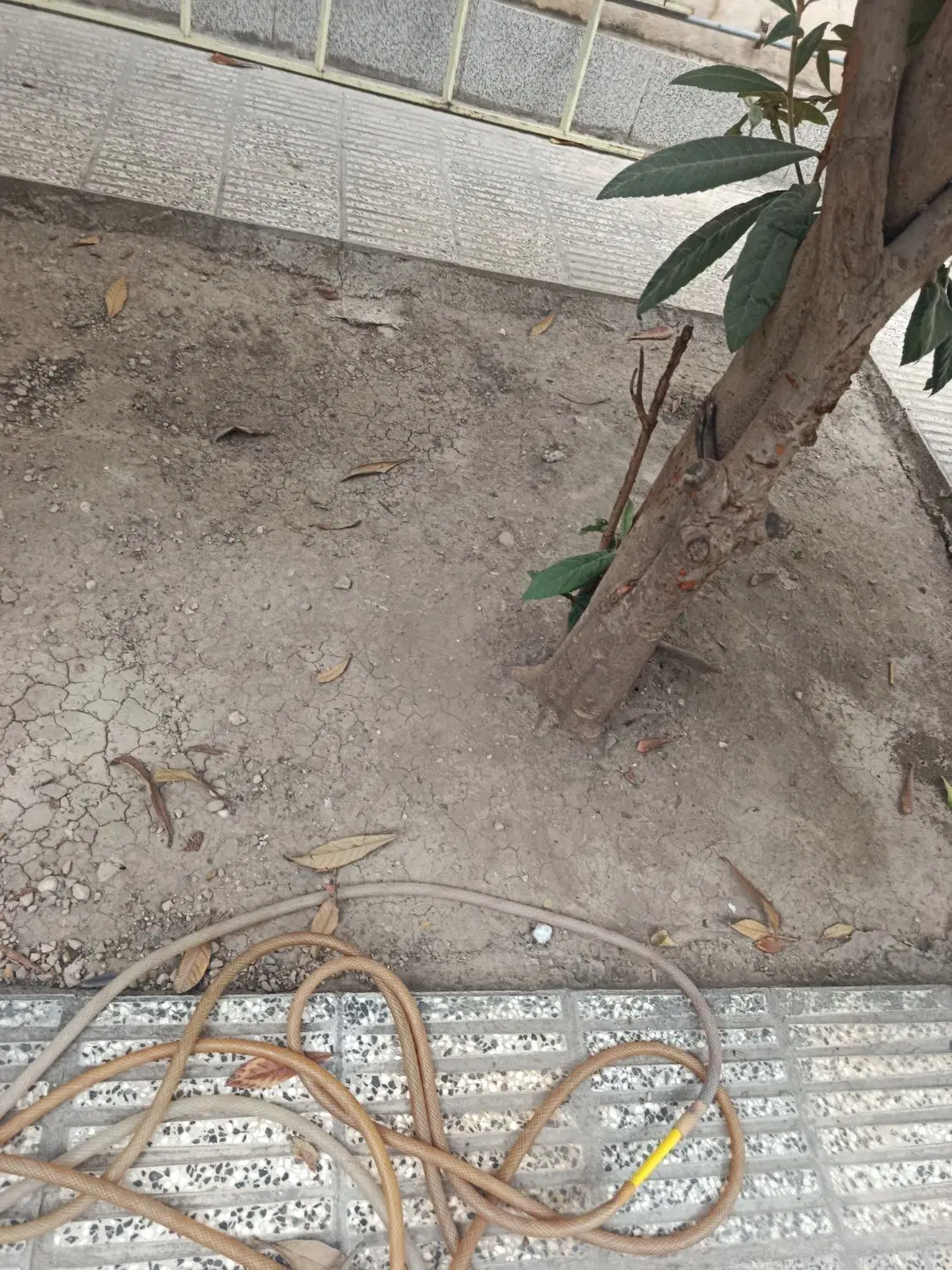 زمین فروشی  آزادشهر