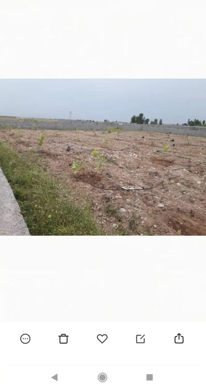 دو قطعه باغچه 800متری